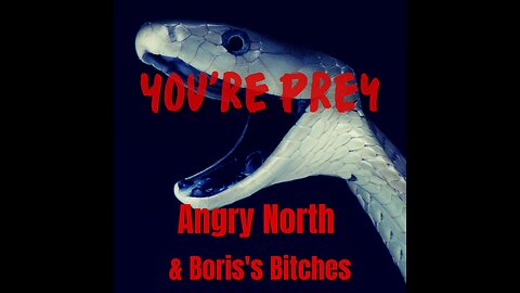 You're Prey - A song by Angry North & Boris's Bitches