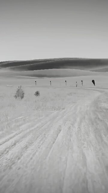 Don't Trust everyone