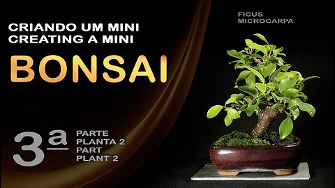 Criando um mini Bonsai parte 3B: Bonsai SP