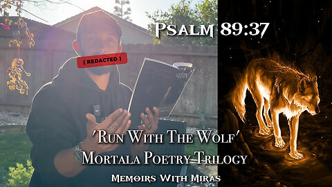 RUN WITH THE WOLF | Cynefin Poetry Book 2/9 | Poetry Breakdown |Mortala Trilogy