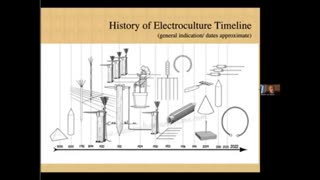 IT'S CALLED ELECTROCULTURE! Maybe getting us away from petro-chemical fertilyzers.