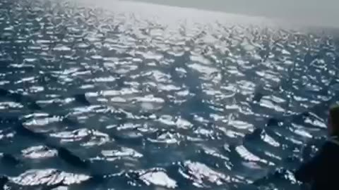 Turkish fishermen captured square waves