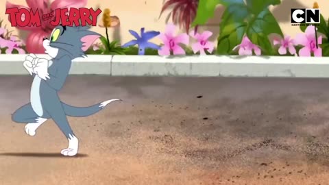 Funny Tom and Jerry_ Dance Off That Destroys Jerry’s Date!