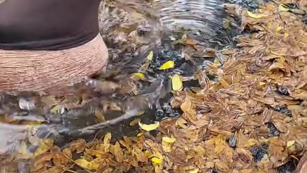 Video 2