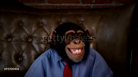 Fanny monkey animal video