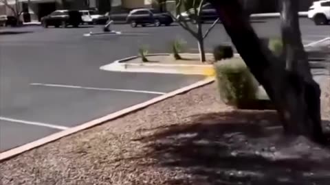 THE TESLA DEATH TRAP
