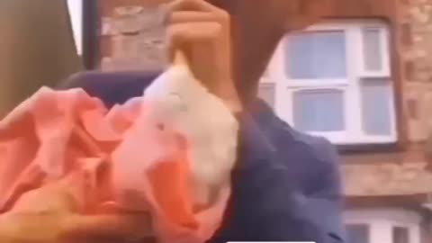Comedy funny video 🤣🤣