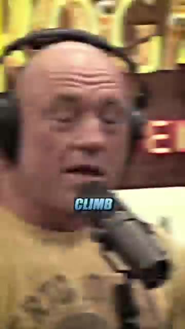 The WEIRDEST Animal… 🤯 ft. Joe Rogan