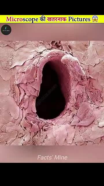 "Mind-Blowing Microscopy: You Won't Believe What Ordinary Objects Look Like Up Close!"