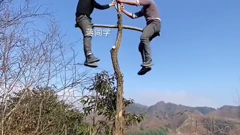 Playing See saw in top of tree