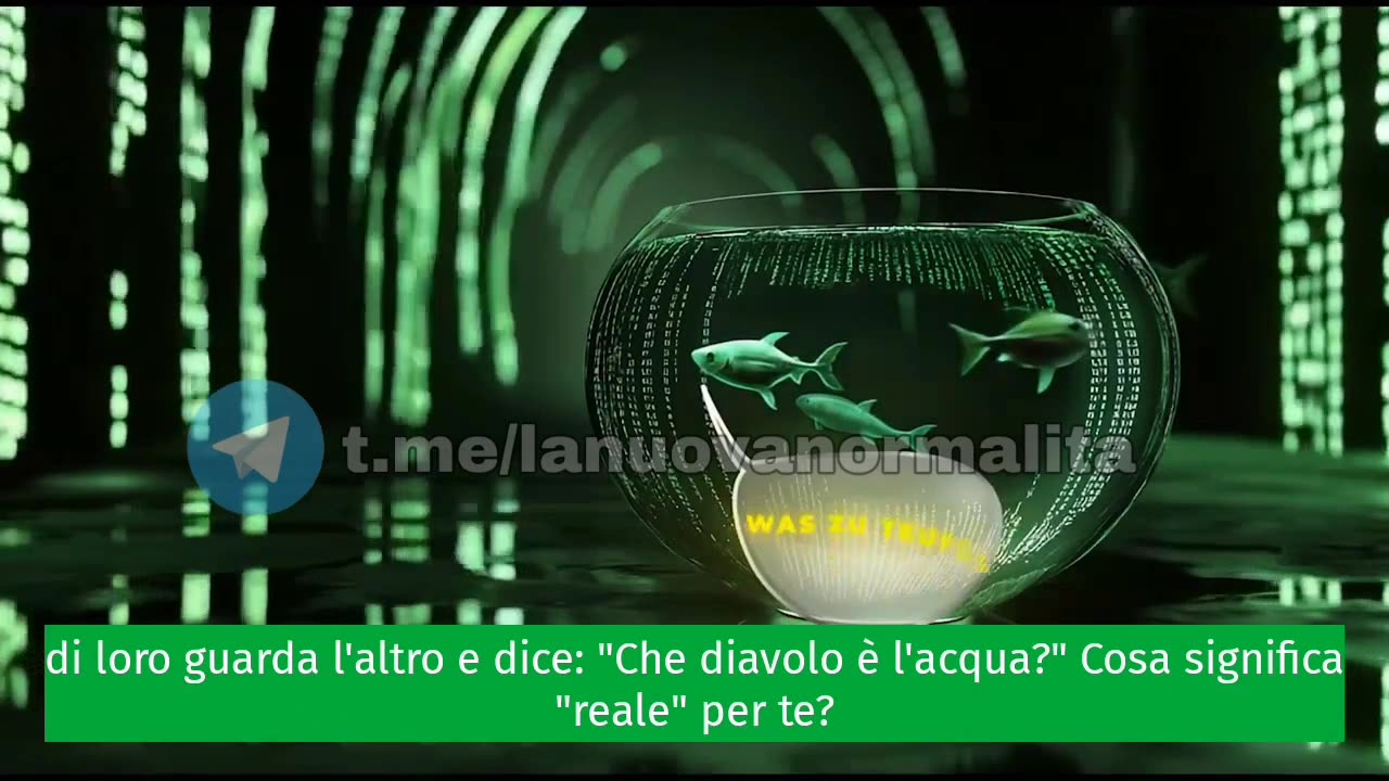 ELON MUSK: LA NOSTRA VITA È UNA BUGIA PERICOLOSA