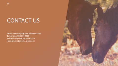 Belle Shook Equine Guidance® ~ What We Do For You!