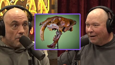 Joe Rogan & John Reeves: 'Alaskan Gold Miner Discovers Sabre Tooth Tiger Skull'