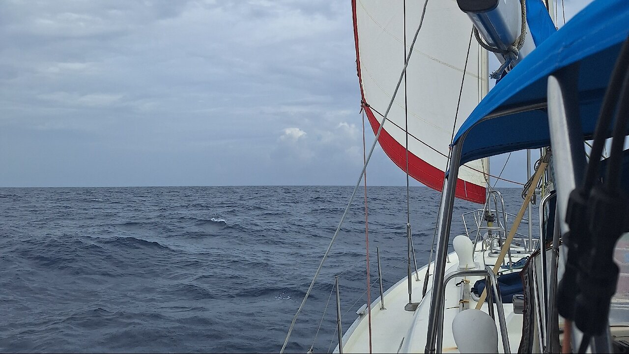 Day 4 crossing Caribbean sea