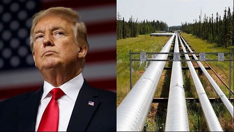 Trump ist verantwortlich für die Sprengung unserer Gas-Pipeline