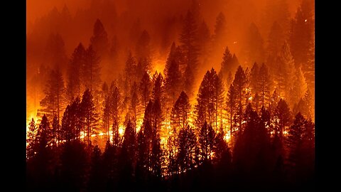 I'M Back To Talk About The Fire In California