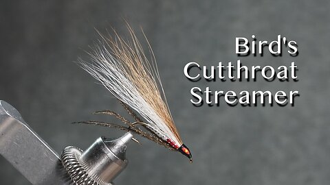 Bird’s Cutthroat Streamer fly pattern