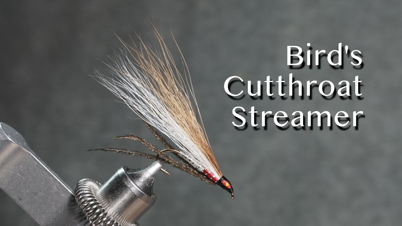 Bird’s Cutthroat Streamer fly pattern