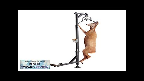 VEVOR Hitch Mounted Deer Hoist 400 lbs Load Capacity Hitch Game Hoist Review