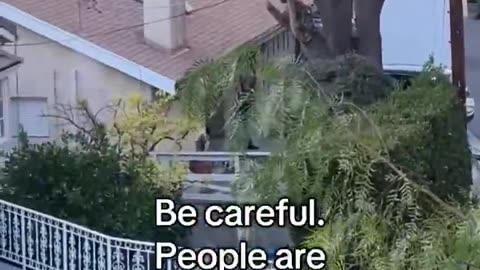 ⚠️NEW: Los Angeles residents execute a leg hook