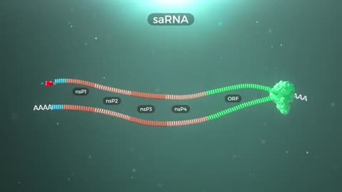 Circular and Self-Amplifying RNA Explained | GenScript Mode of Action - Life Science Animation