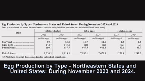 How Many Eggs Were Produced in the Northeastern United States in 2023-2024