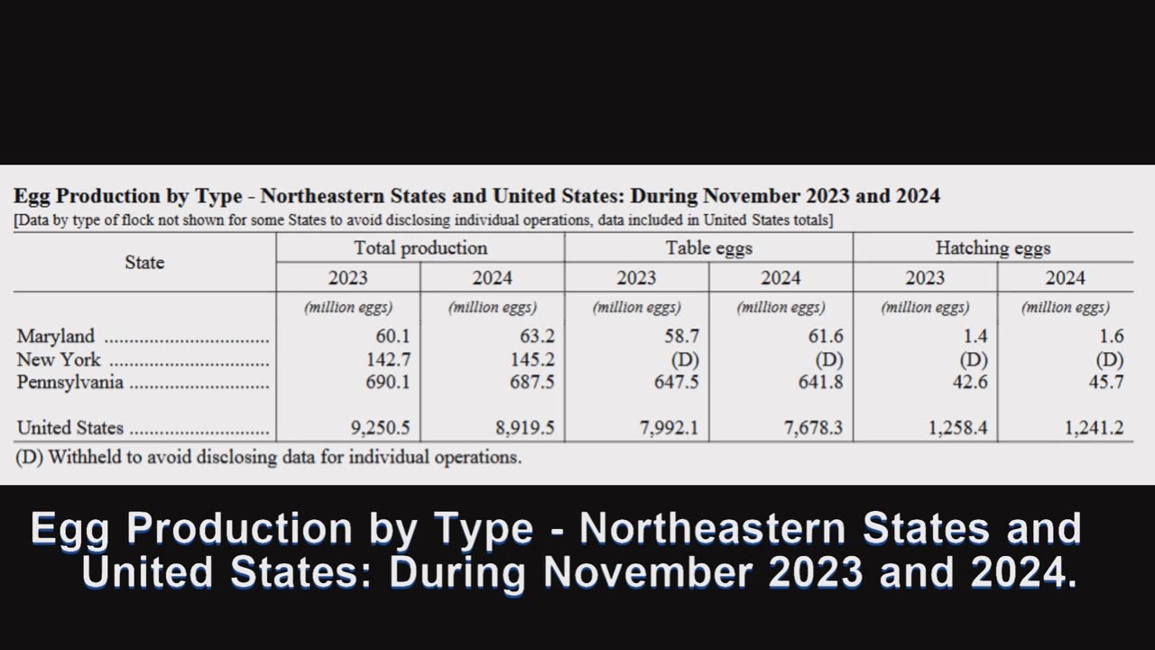 How Many Eggs Were Produced in the Northeastern United States in 2023-2024