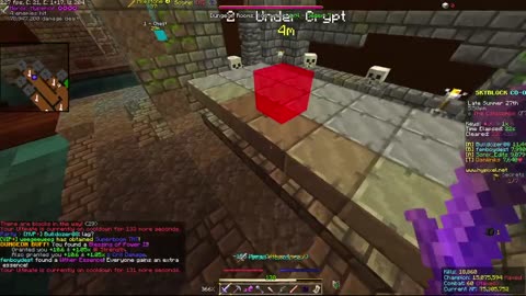 Skyblock FLOOR 7 [#1200]