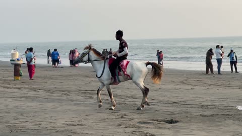 Rajshahi Pony in Bangladesh