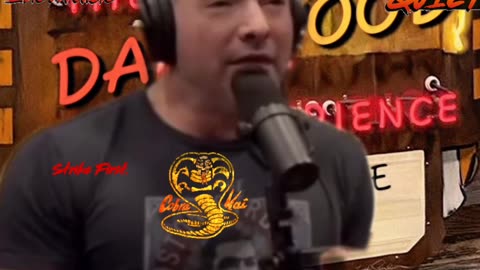 Cobra Kai Theory Pt 1