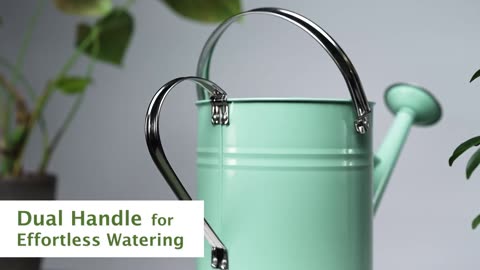 🌿 Elevate Your Plant Care with Style! 🌿