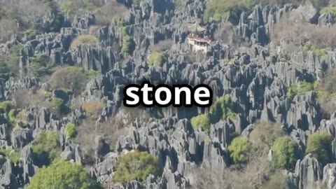 🌲🪨 Stone Forest, China A Majestic Karst Landscape 🪨🌲