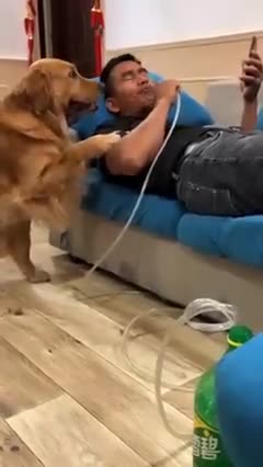 Smart Dog 🤣🤣🤣