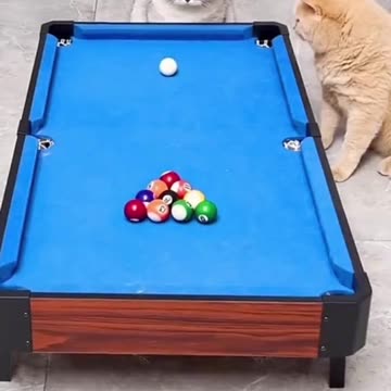 Big Fails 😂😂😂 #shorts #viral #fails #funny