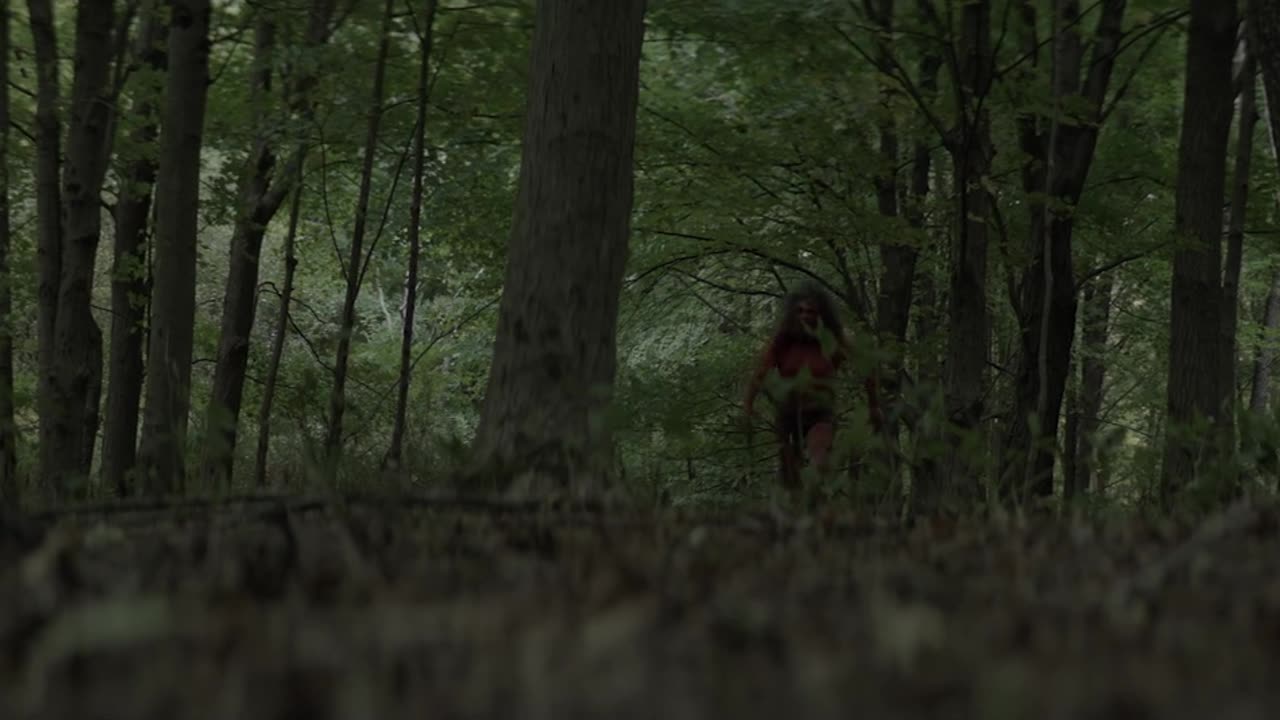 The Forest Hills (2024)