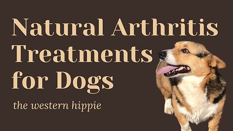 Natural Arthritis Treatments for Dogs