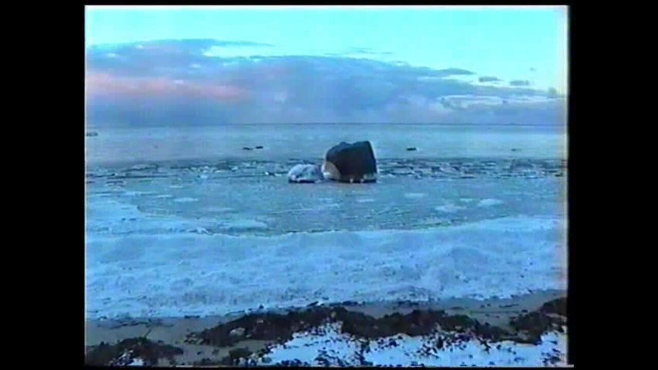 Last-Studio, Video-N.54 (2002)