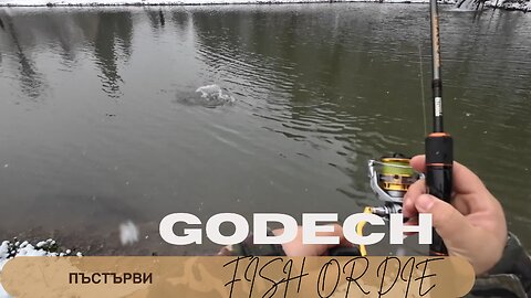 Годеч пъстърви боцни пусни - Godech C&R trout