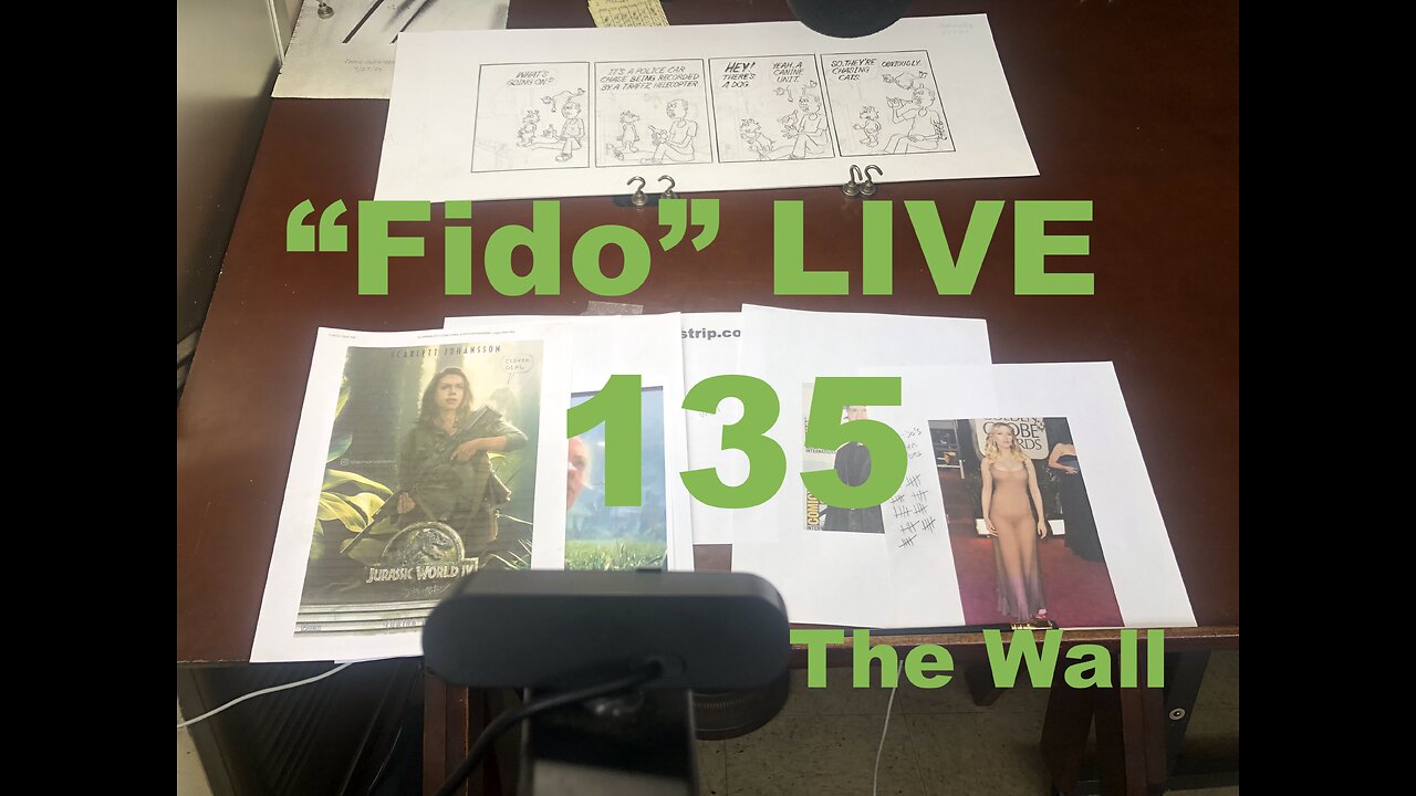 "Fido" LIVE 135: The Wall