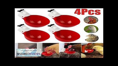 4PCS Chicken Automatic Watering Cups Poultry Drinker Drinker Chicken Duck Quail Drinking Review