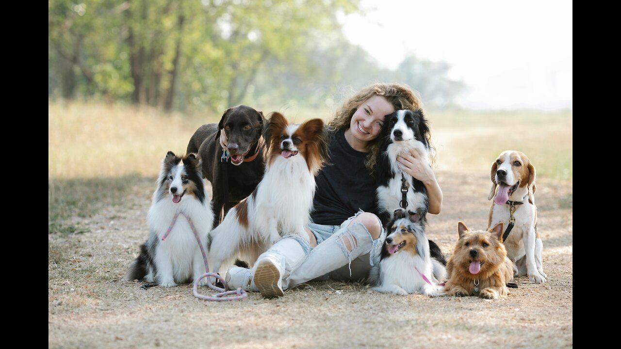 Dog Therapy: Relax and Banish Negative Thoughts with Adorable Pups