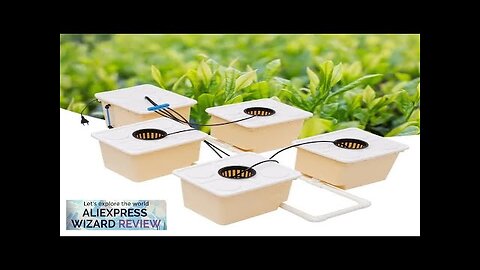 Buckets Drip Growing System High Production Hydroponics Seedling Nursery Plant Germination Review