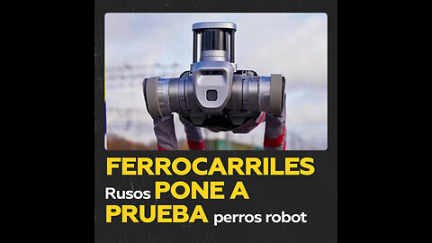 Perros robot, al servicio de los ferrocarriles rusos