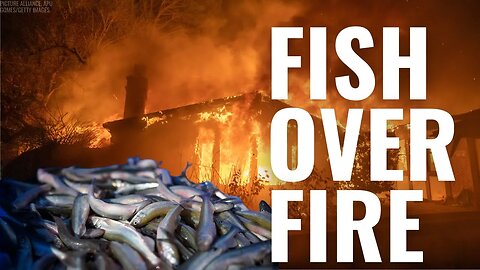 Why Does Newsom Care About Smelt While Homes Burn? 🐟