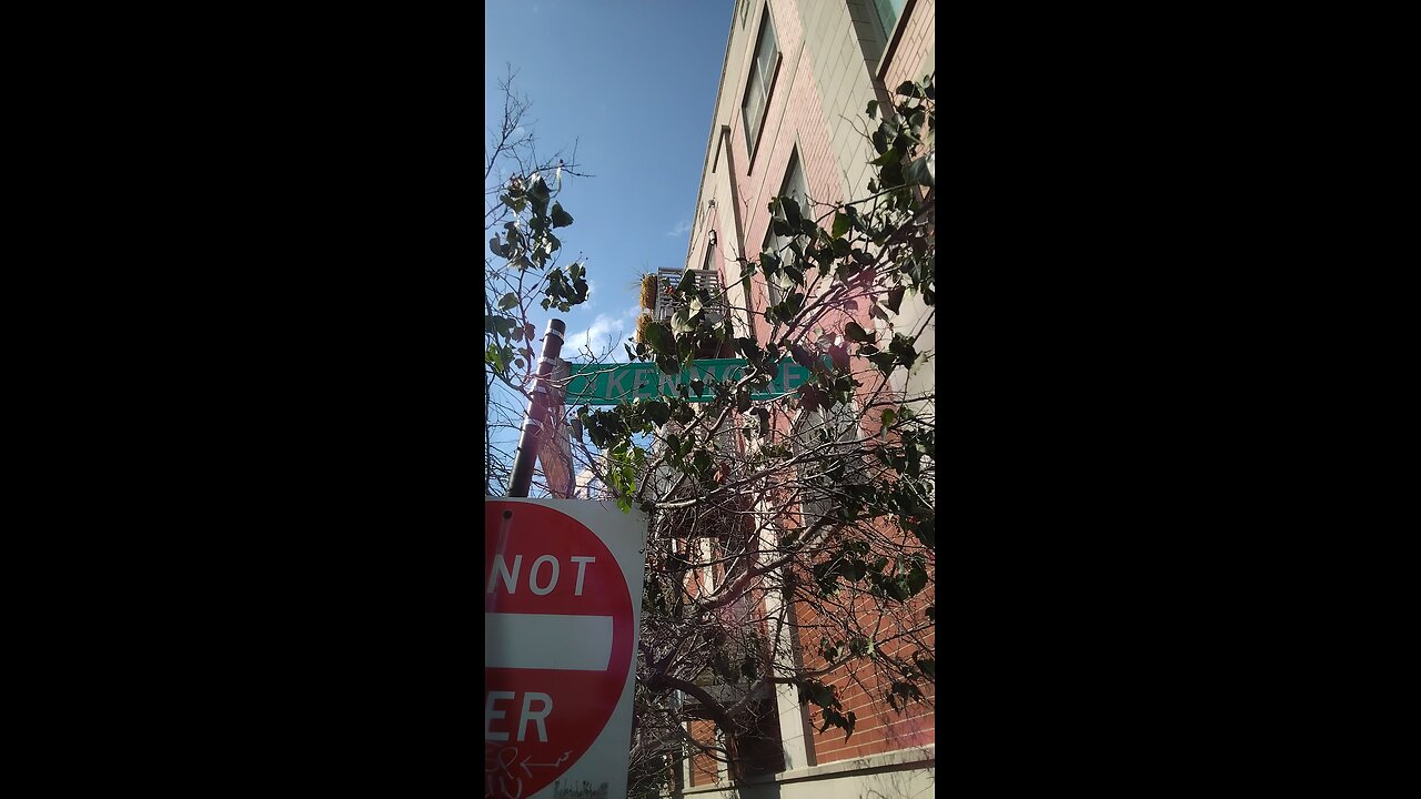Chicago neighborhood