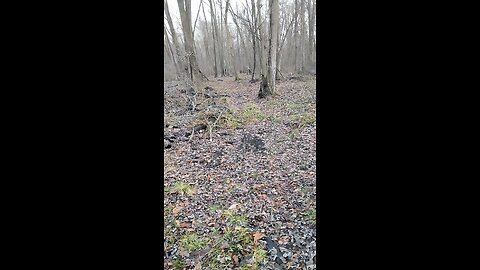 the importance of knowing how to survive in the outdoors. go back to being primitive