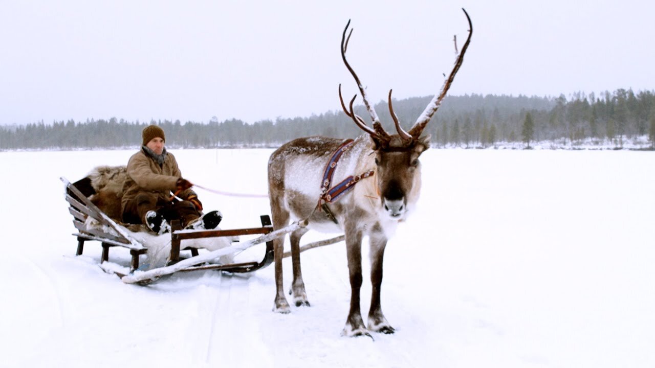 Magical Finland Sleigh Ride