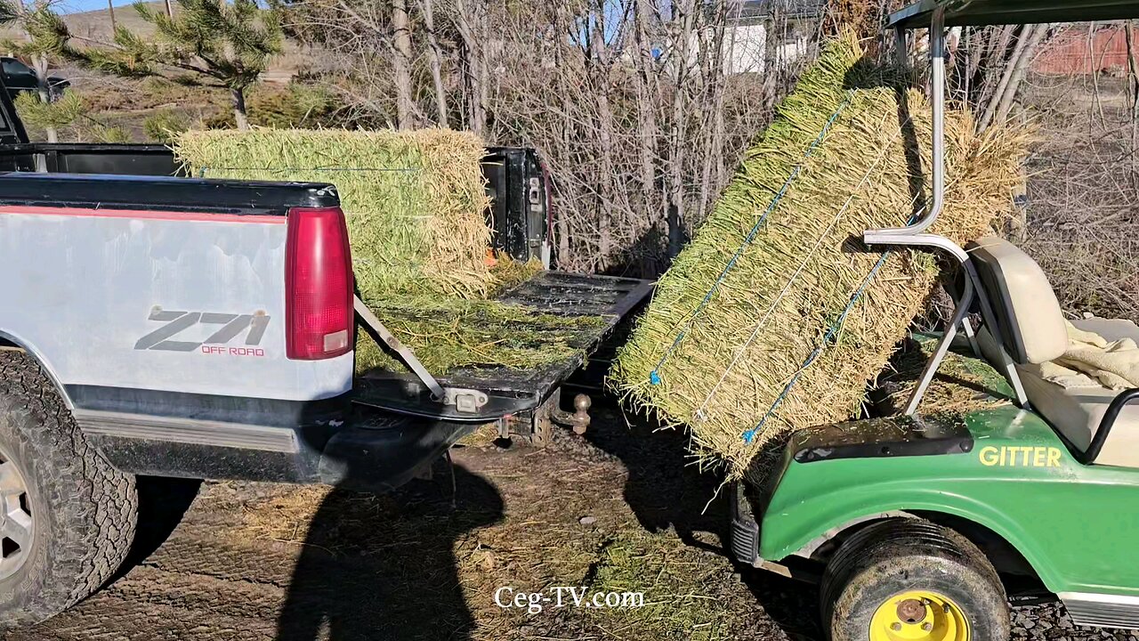 Graham Family Farm: 11:00 AM January 8th 2025