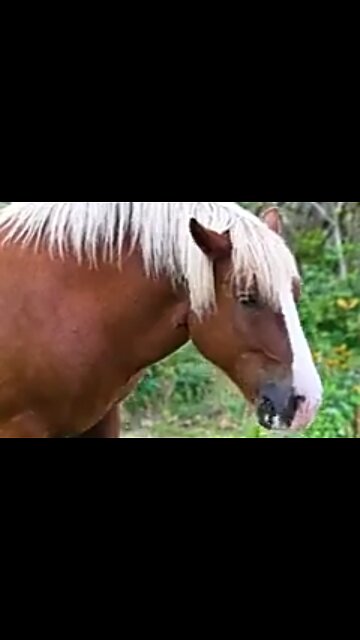 FIGHTING THE BATTLE AGAINST SIN - DAILY DEVOTIONAL ❤️