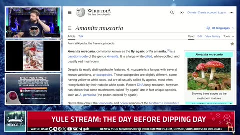 Yule Stream: The Day Before Dipping Day
